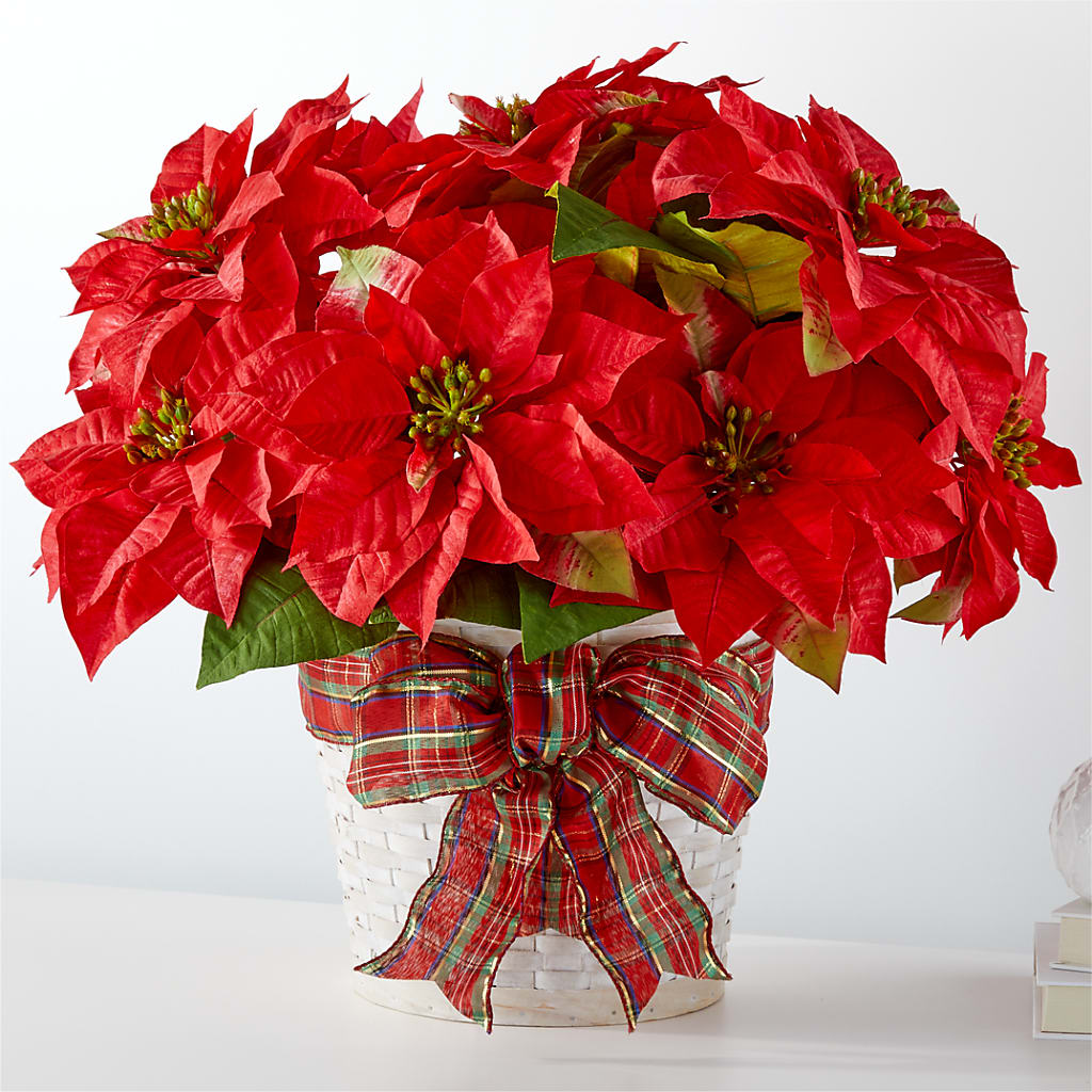 Happiest Holidays Poinsettia – The Rusty Willow, Grove OK