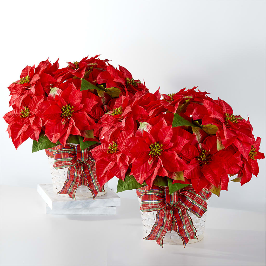 Happiest Holidays Poinsettia Bundle – The Rusty Willow, Grove OK