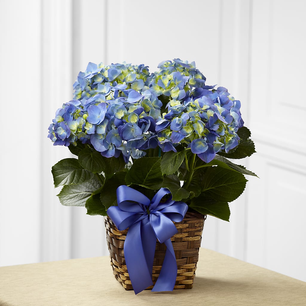 Blue Hydrangea Planter – The Rusty Willow, Grove OK