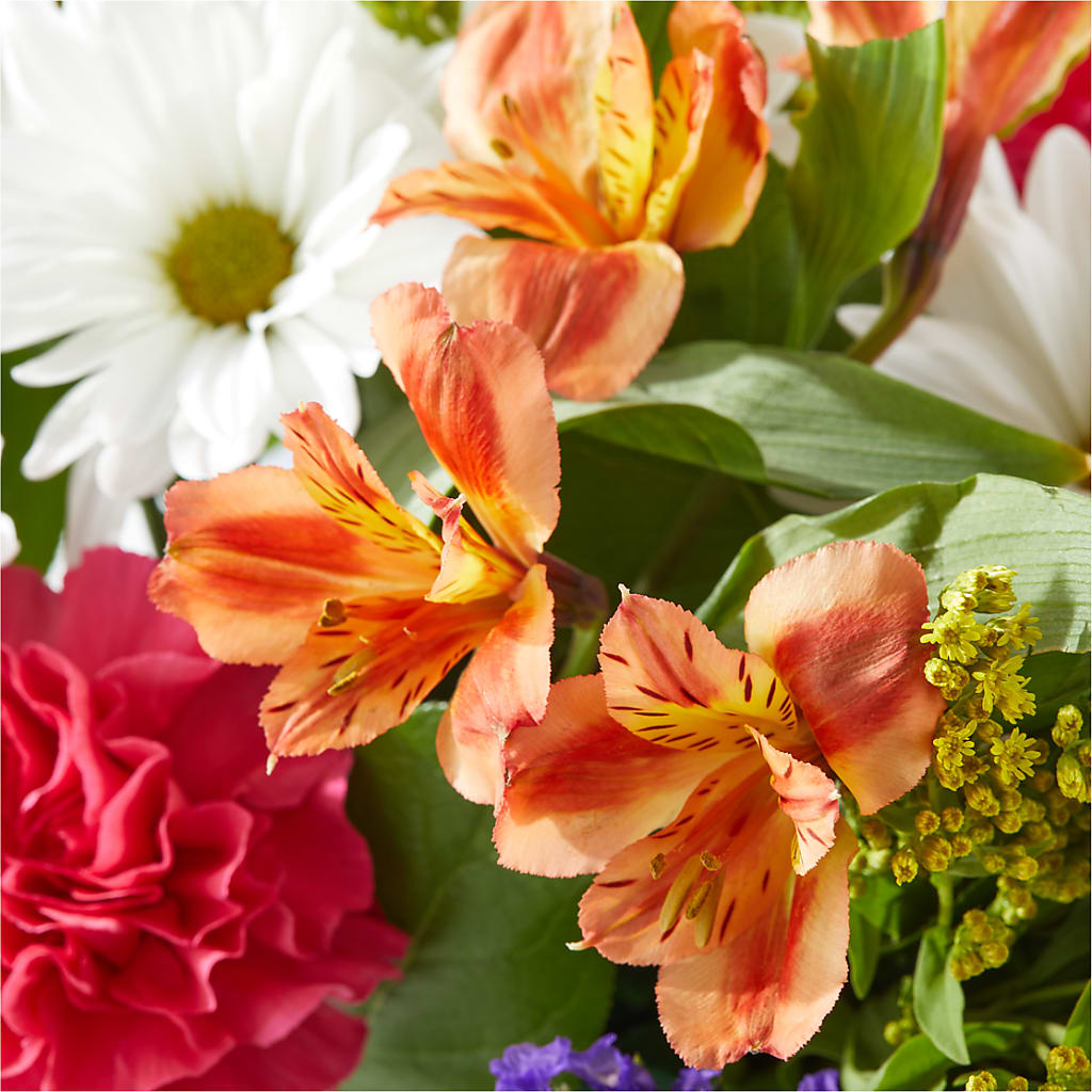 Oopsie Daisy Box Bouquet –  The Rusty Willow, Grove OK