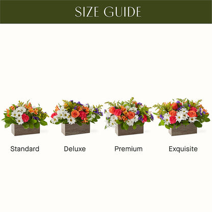 Oopsie Daisy Box Bouquet –  The Rusty Willow, Grove OK