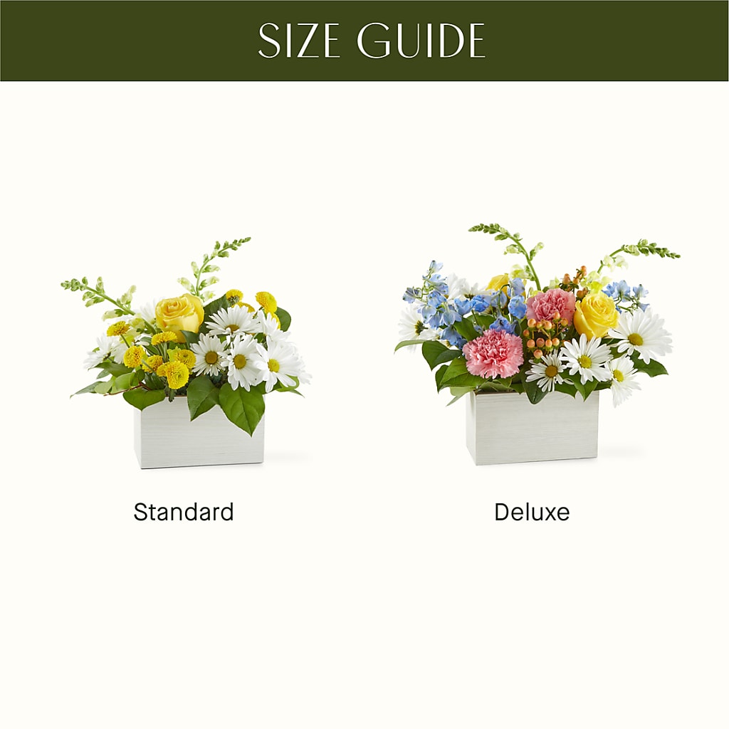 Sun Salutation Box Bouquet –  The Rusty Willow, Grove OK