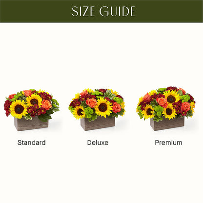 Happy Harvest Garden –  The Rusty Willow, Grove OK