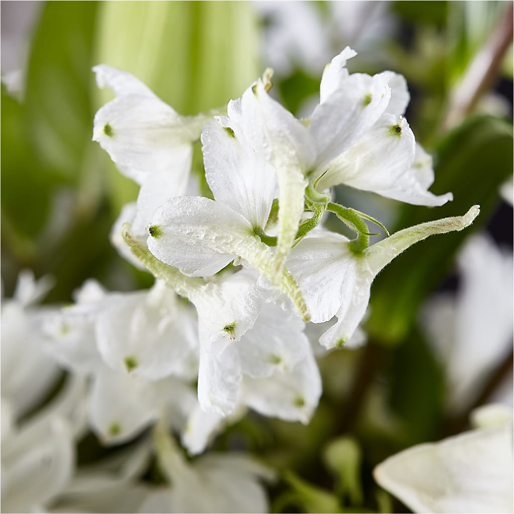 Classic Ivory – A Florist Original –  The Rusty Willow, Grove OK