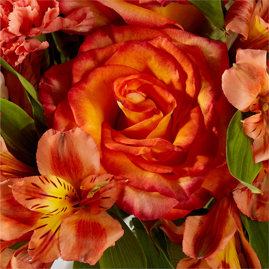Apricot Glow Bouquet –  The Rusty Willow, Grove OK