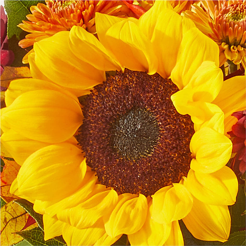 Sunny Side Bouquet –  The Rusty Willow, Grove OK